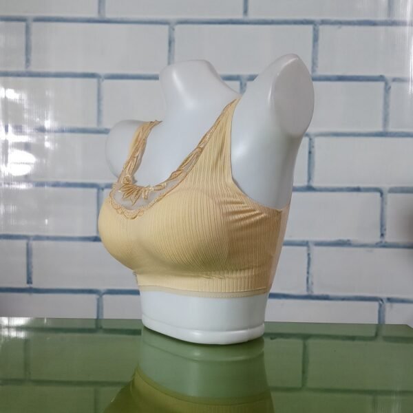 Deep V Bralette See Through Push Up Removable Pad Bralette Wirefree ZL20