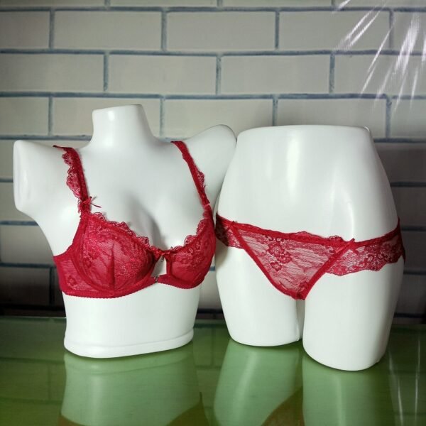 Net-Bra-and-Panty-Set-Full-Lace-Net-Non-Padded-Wired-Extra-Soft-Q47-Bright-Maroon-Front