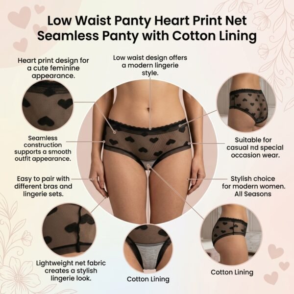 low waist Panty Breathable mesh underwear with cotton lining Pakistan